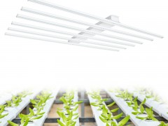 组培育苗led植物补光灯