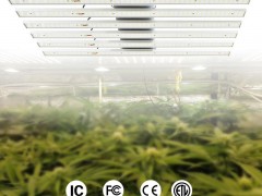 大麻LED植物生长灯