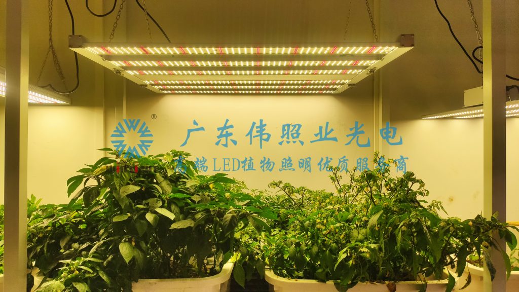 LED植物生长灯