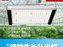 阳光系列 LED植物生长灯 100W