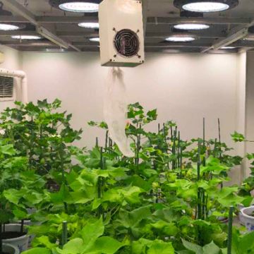 设施农业LED植物照明的市场规模