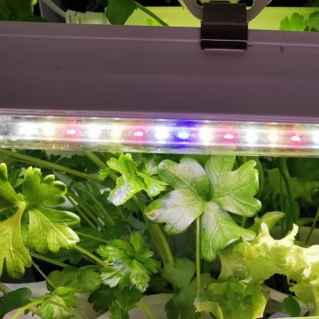 什么是植物生长灯的光配方？