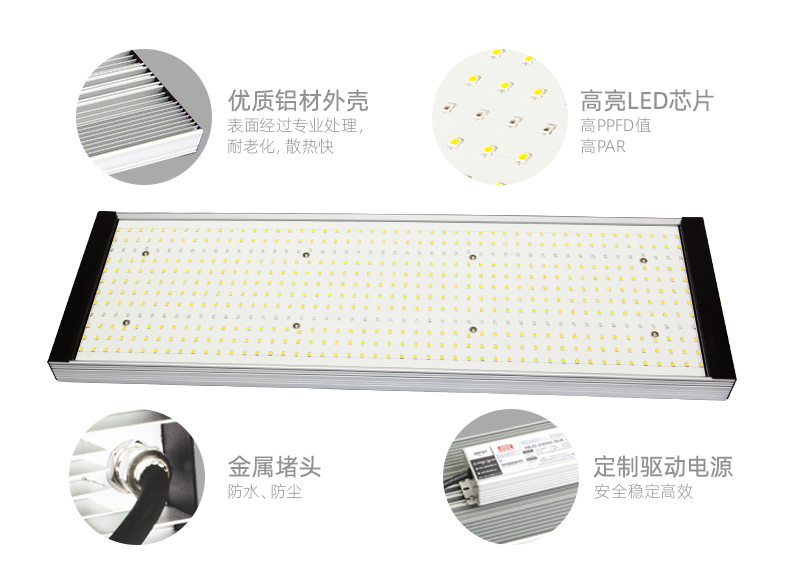 红蓝光谱200W植物照明LED补光灯